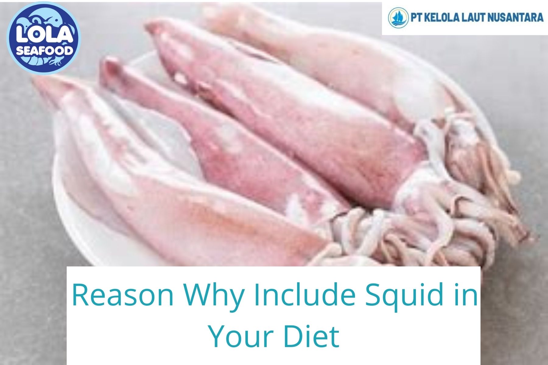 6 Reasons why Squid needed in Your Diet